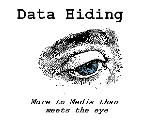 Projeto Data Hiding quer embutir cdigos em textos e imagens