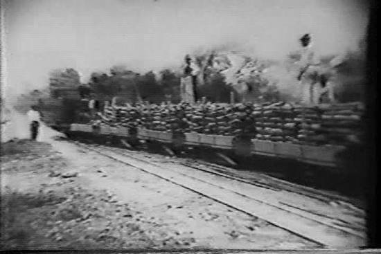 Clique na imagem para obter o v�deo