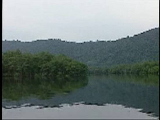 Clique na imagem para obter o v�deo