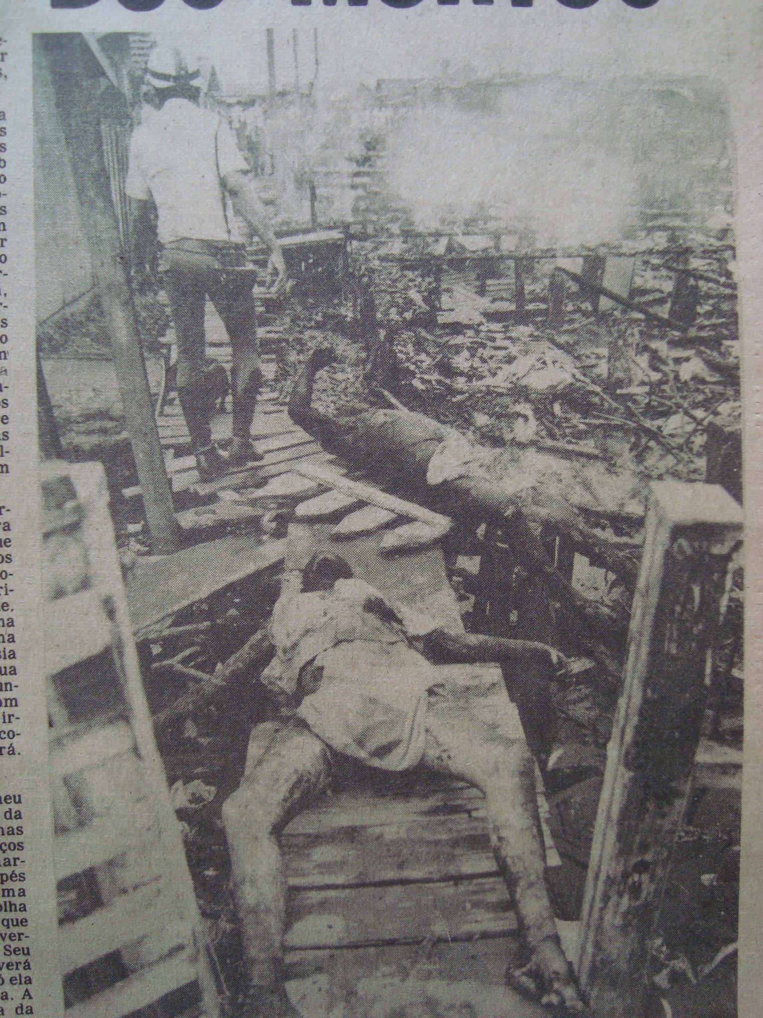 Clique na imagem para retornar � p�gina