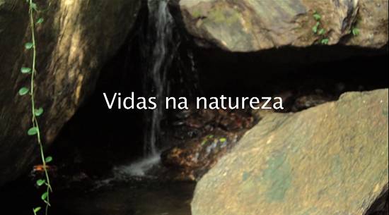 Clique na imagem para obter o arquivo em formato MP4