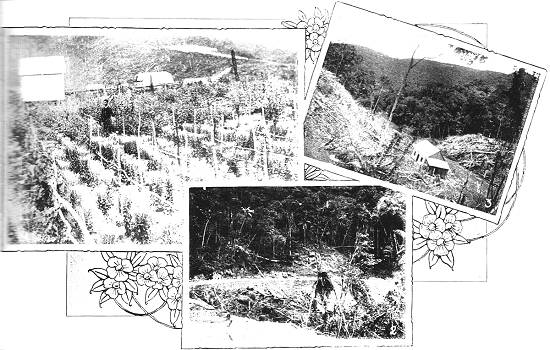 Clique na imagem para ampliá-la