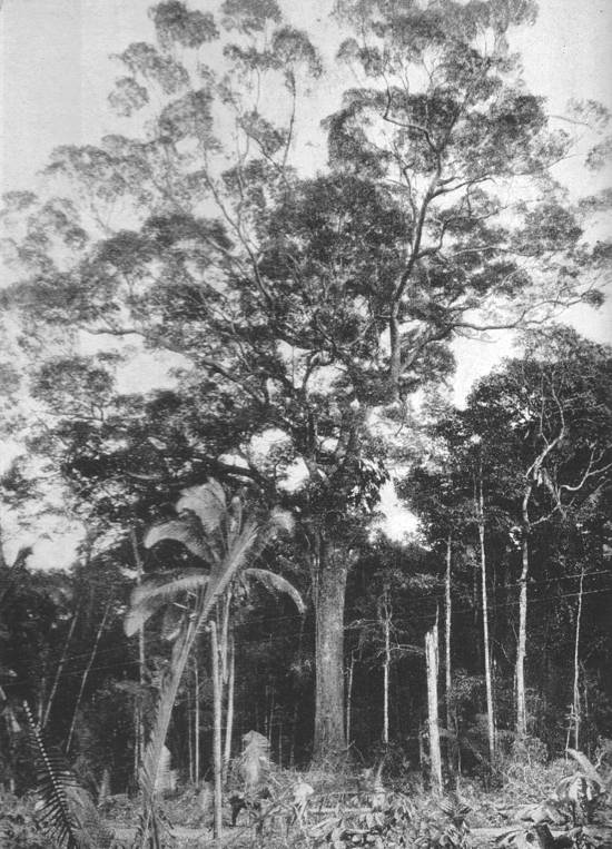 Clique na imagem para ampli�-la