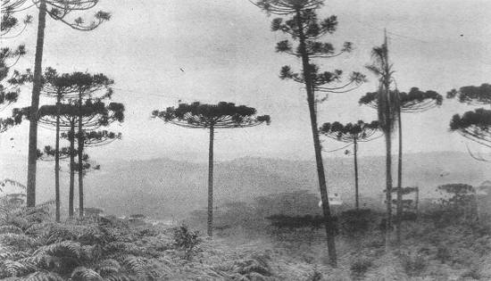 Clique na imagem para ampli�-la