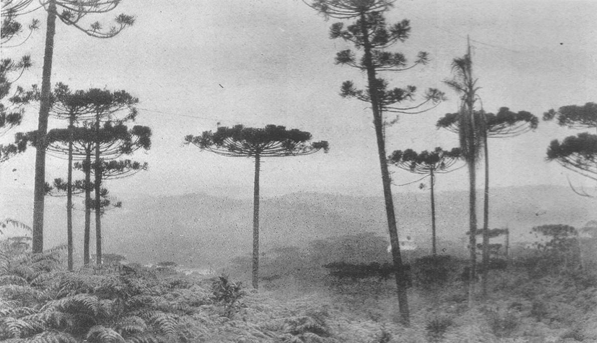 Clique na imagem para reduzi-la