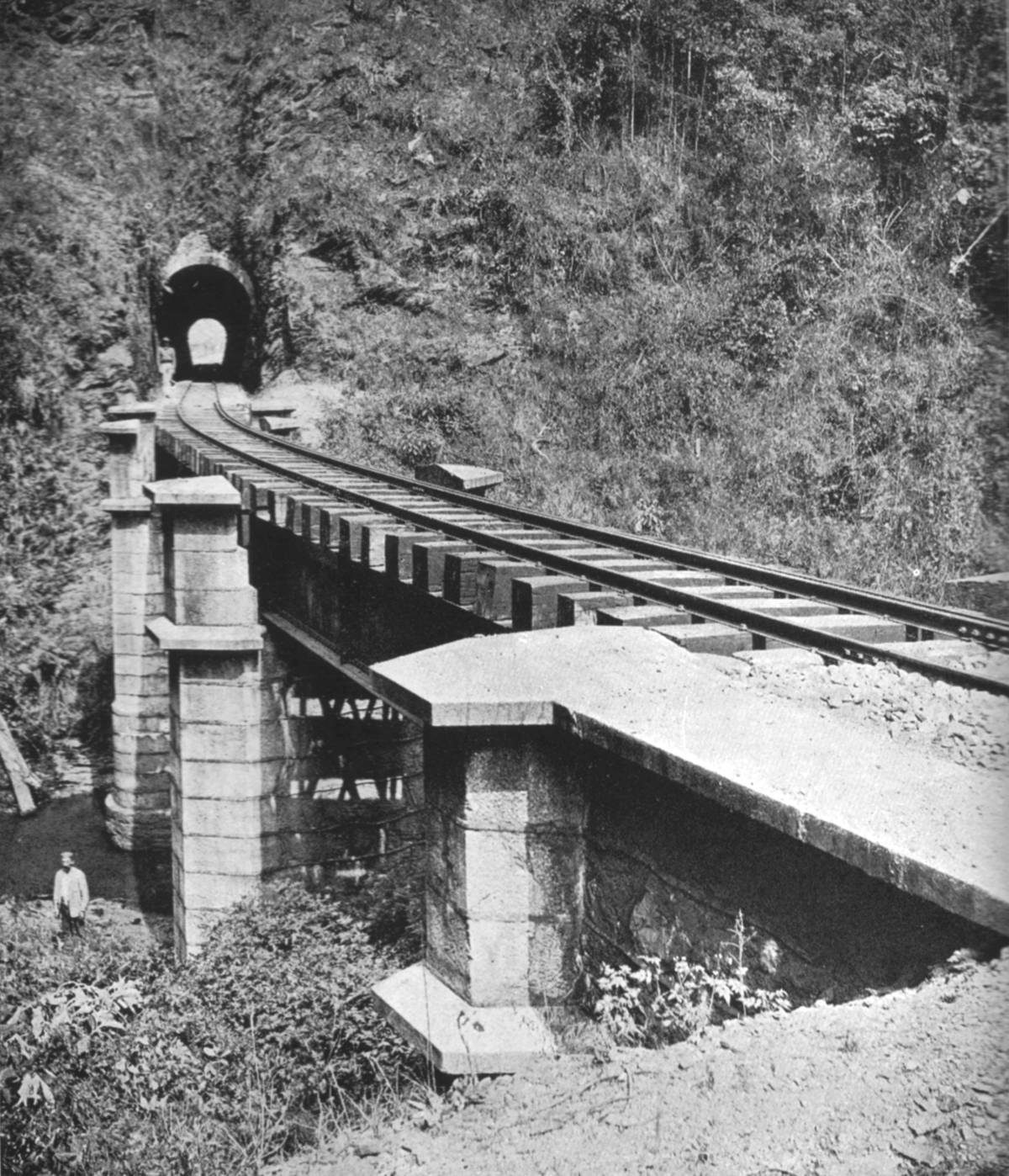 Clique na imagem para reduzi-la