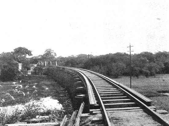 Clique na imagem para ampli�-la