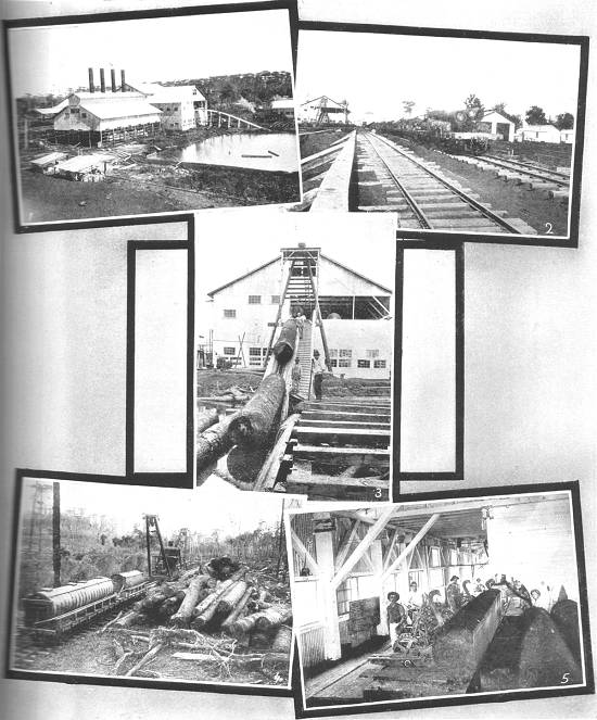 Clique na imagem para ampli�-la