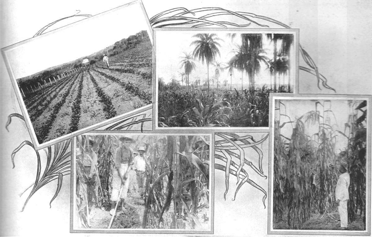 Clique na imagem para reduzi-la