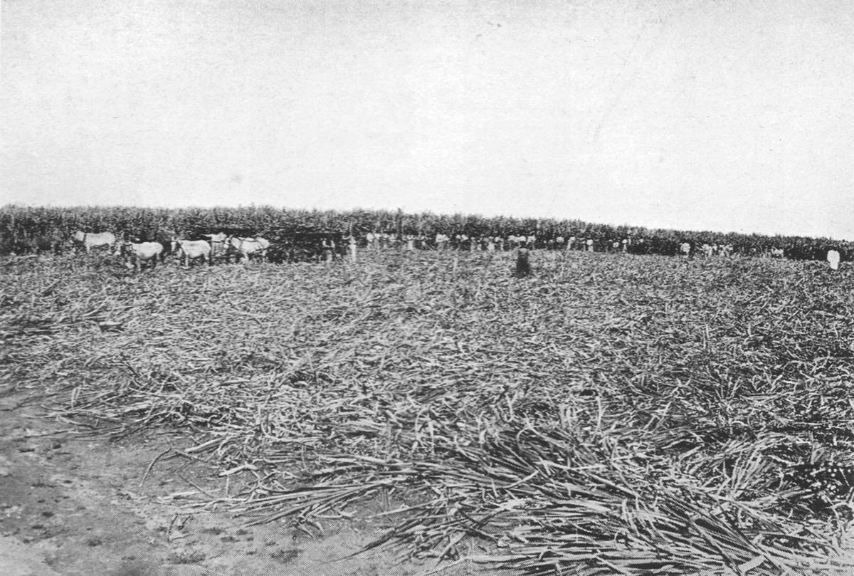 Clique na imagem para reduzi-la