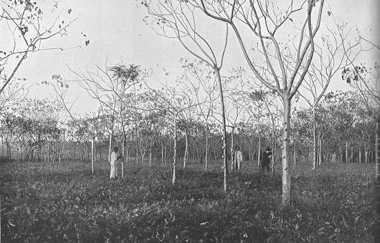 Clique na imagem para ampli�-la