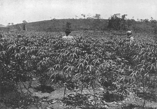 Clique na imagem para ampli�-la