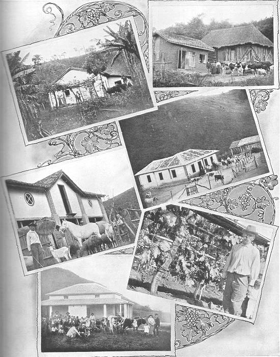 Clique na imagem para ampli�-la