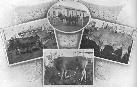 Clique na imagem para ampli�-la