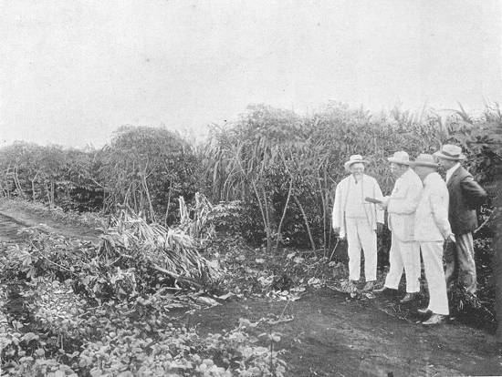 Clique na imagem para ampli�-la