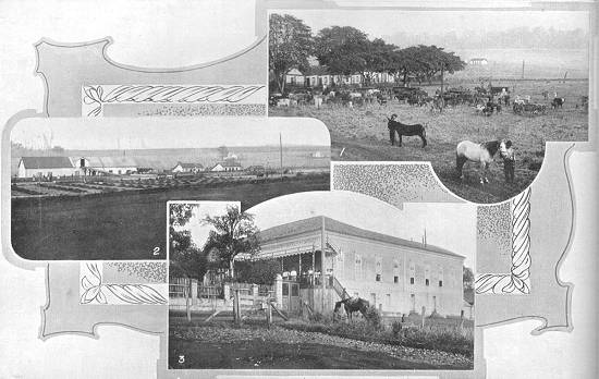 Clique na imagem para ampliá-la