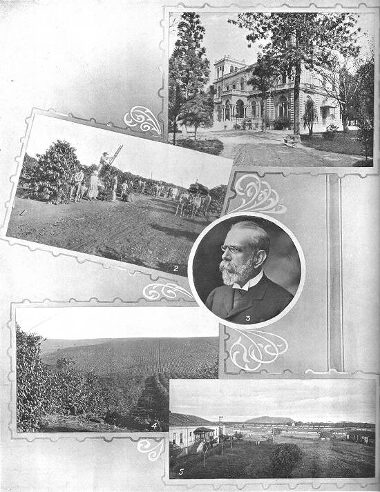 Clique na imagem para ampliá-la