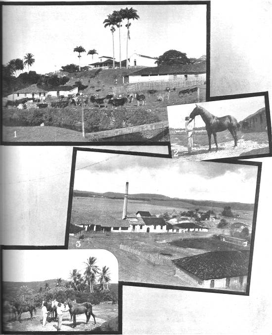 Clique na imagem para ampli�-la