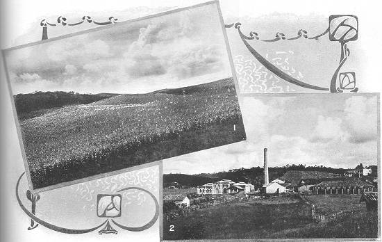 Clique na imagem para ampli�-la