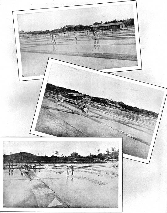 Clique na imagem para ampli�-la