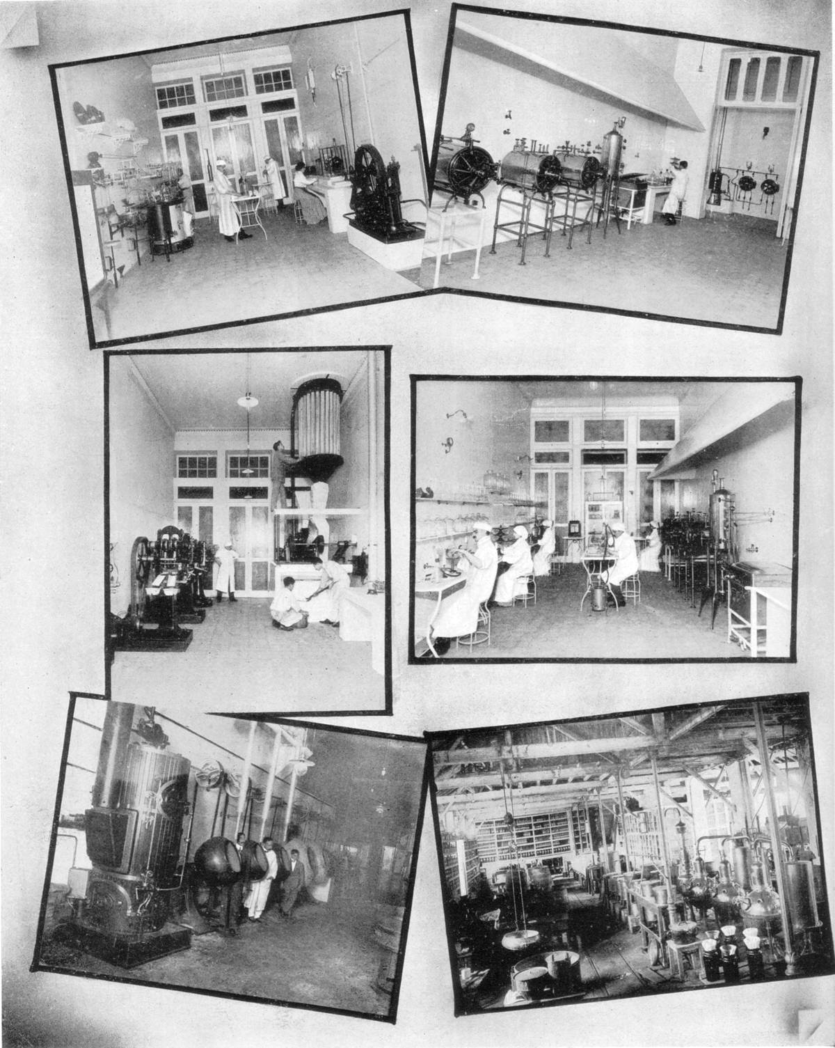 Clique na imagem para reduzi-la