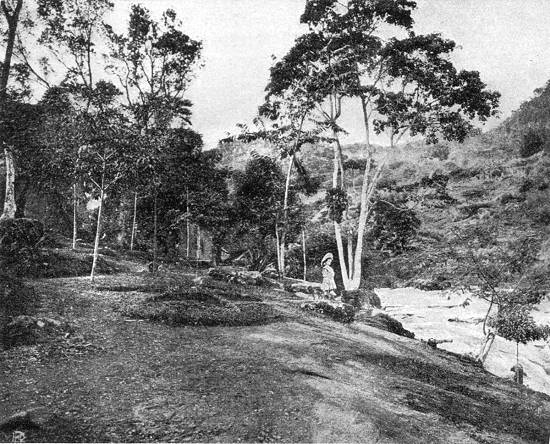 Clique na imagem para ampli�-la