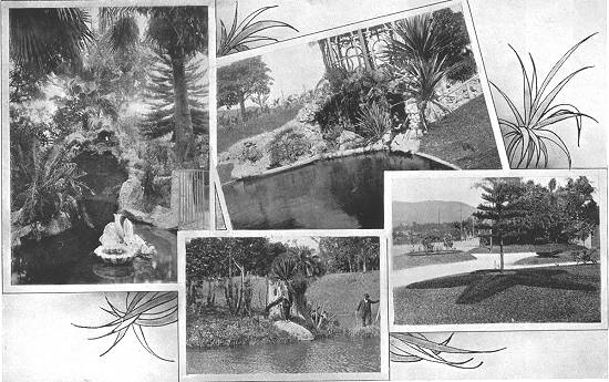 Clique na imagem para ampli�-la