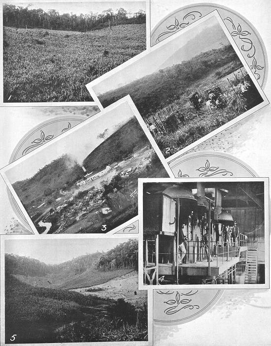 Clique na imagem para ampliá-la