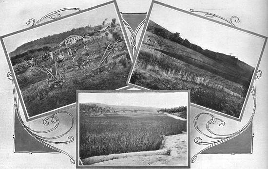 Clique na imagem para ampli�-la