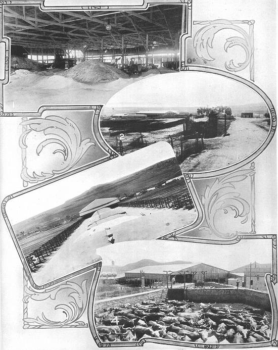 Clique na imagem para ampli�-la