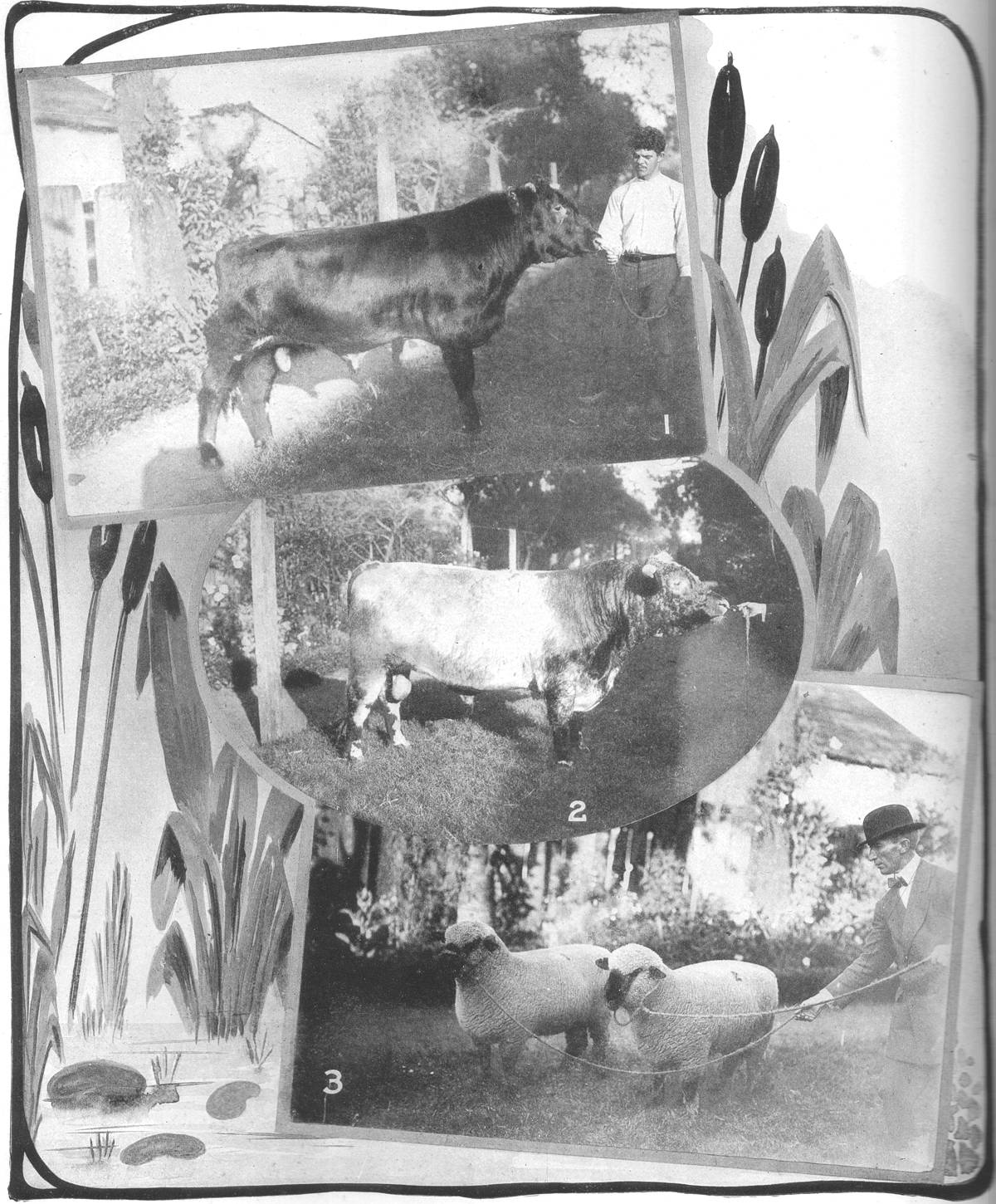 Clique na imagem para reduzi-la