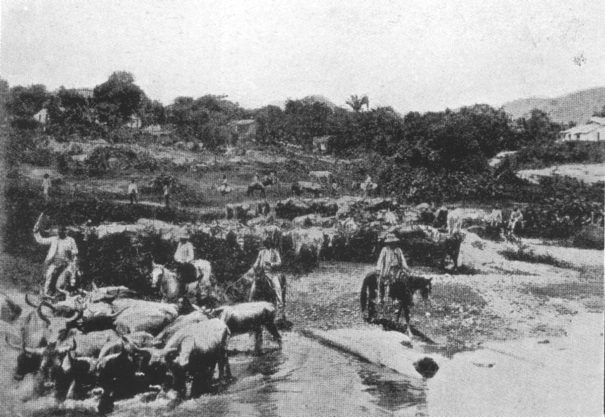 Clique na imagem para reduzi-la