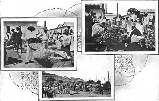 Clique na imagem para ampli�-la