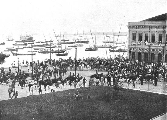 Clique na imagem para ampli�-la