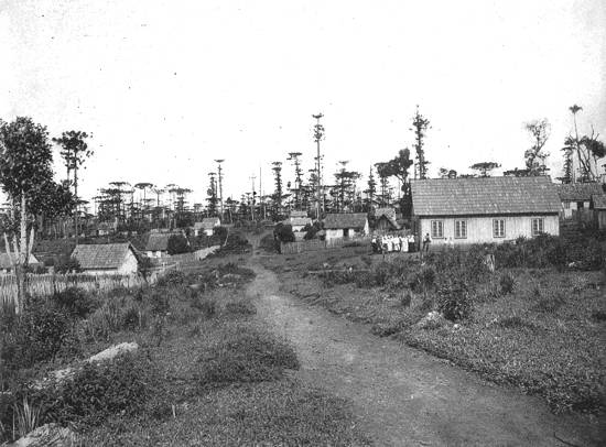 Clique na imagem para ampliá-la