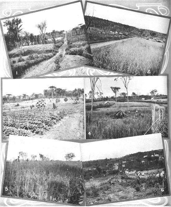 Clique na imagem para ampliá-la