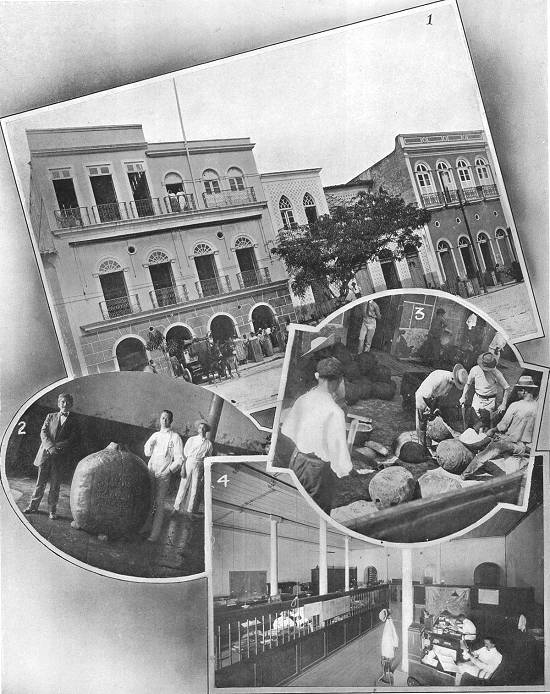 Clique na imagem para ampli�-la