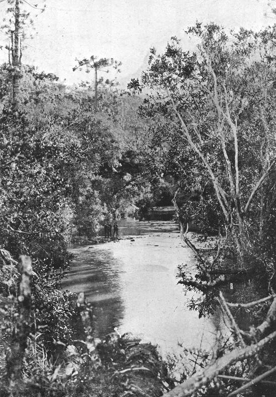 Clique na imagem para ampli�-la