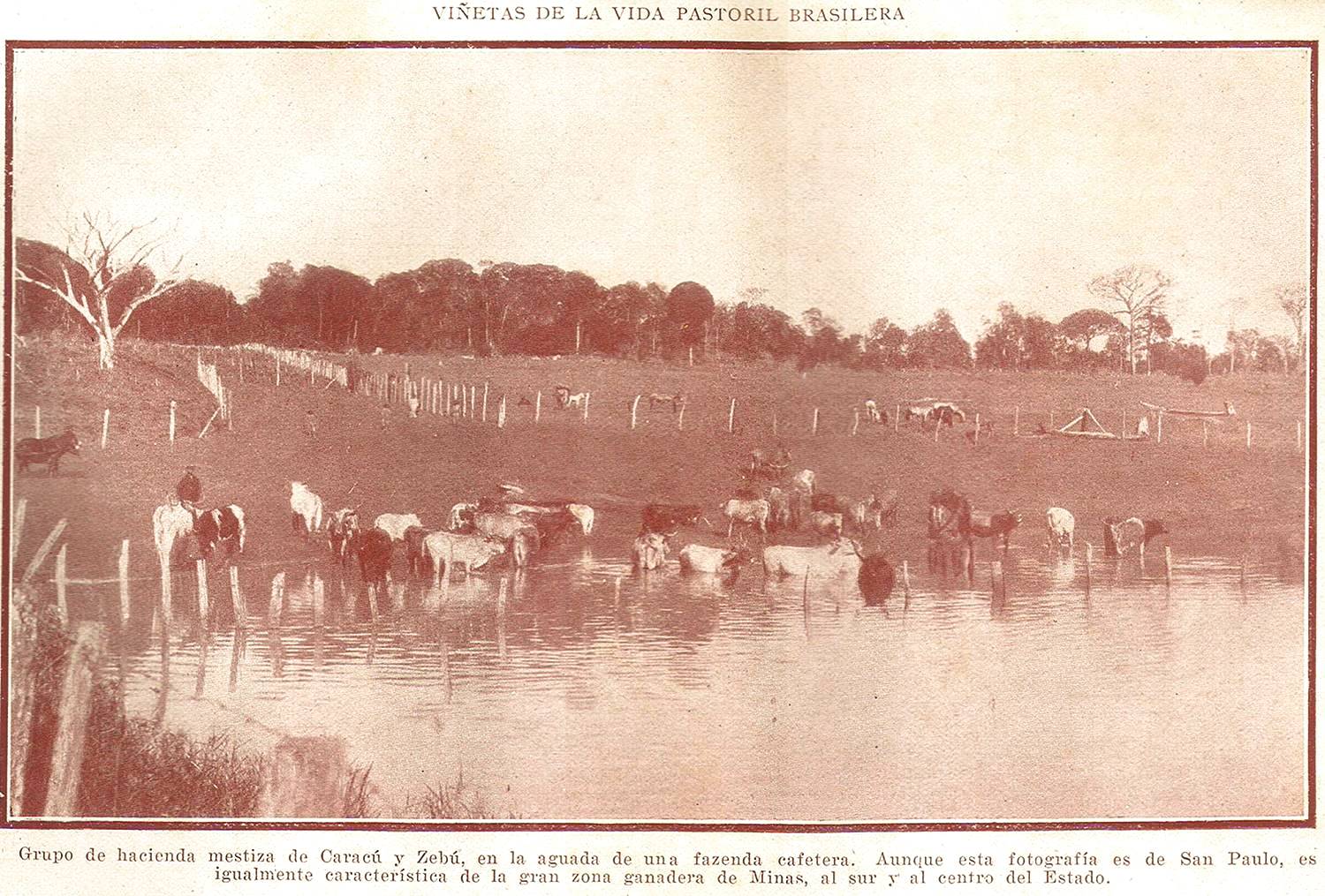 Clique aqui para reduzir a imagem