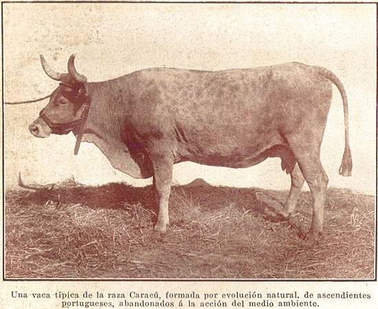 Clique na imagem para ampli�-la