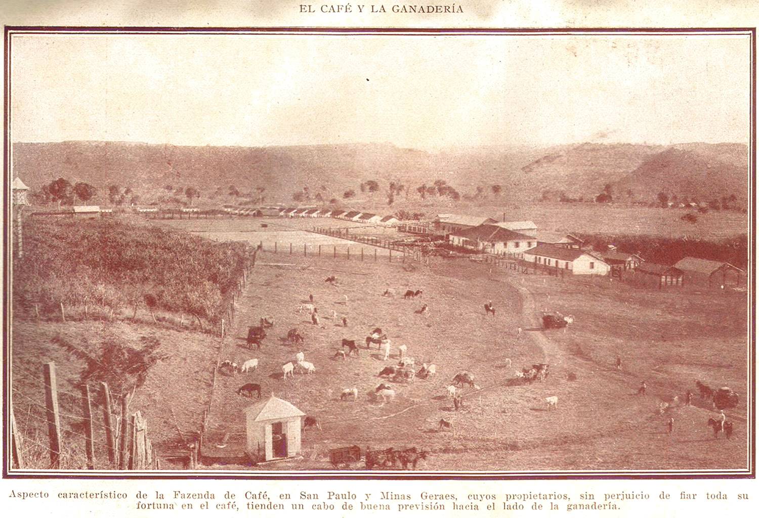 Clique aqui para reduzir a imagem