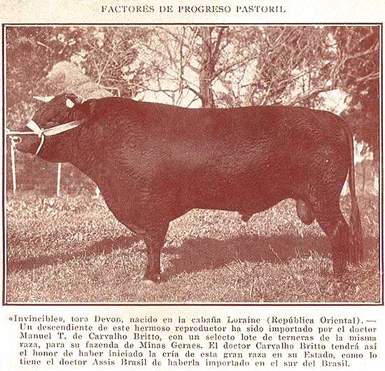 Clique na imagem para ampli�-la