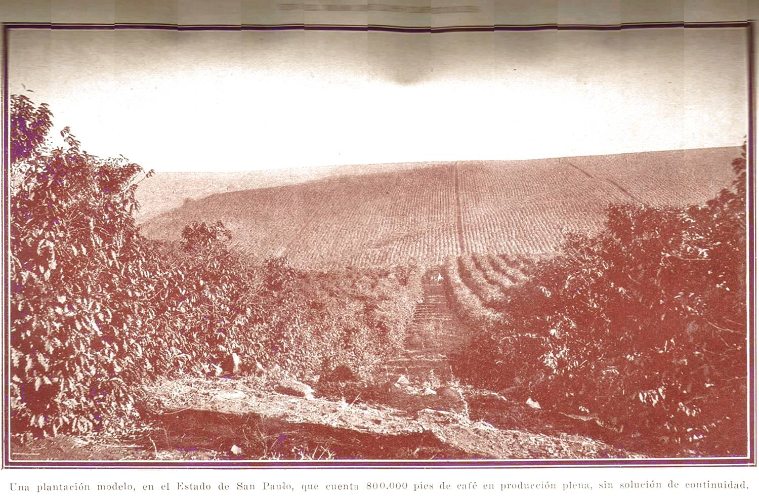 Clique aqui para reduzir a imagem