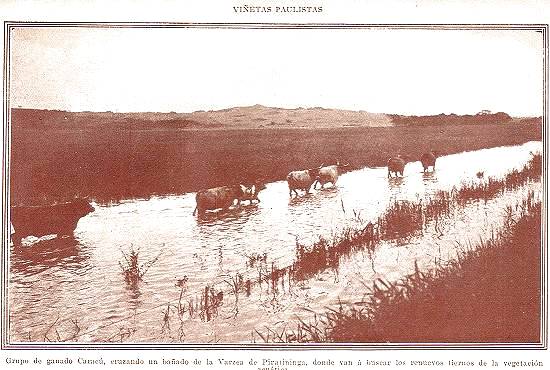 Clique na imagem para ampli�-la