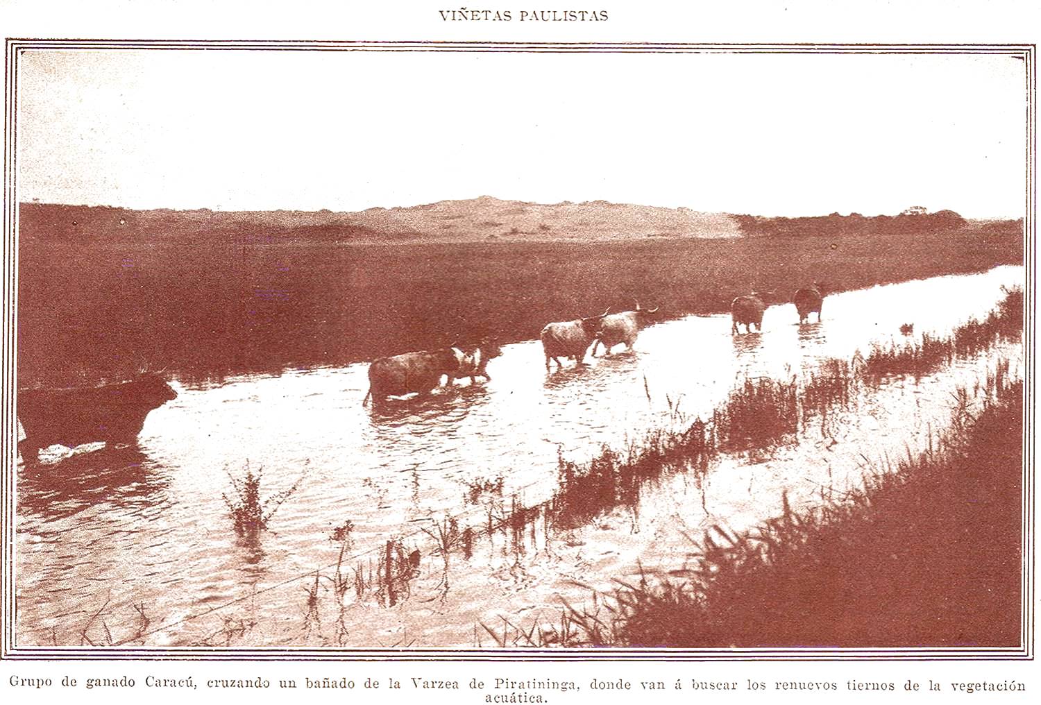 Clique aqui para reduzir a imagem