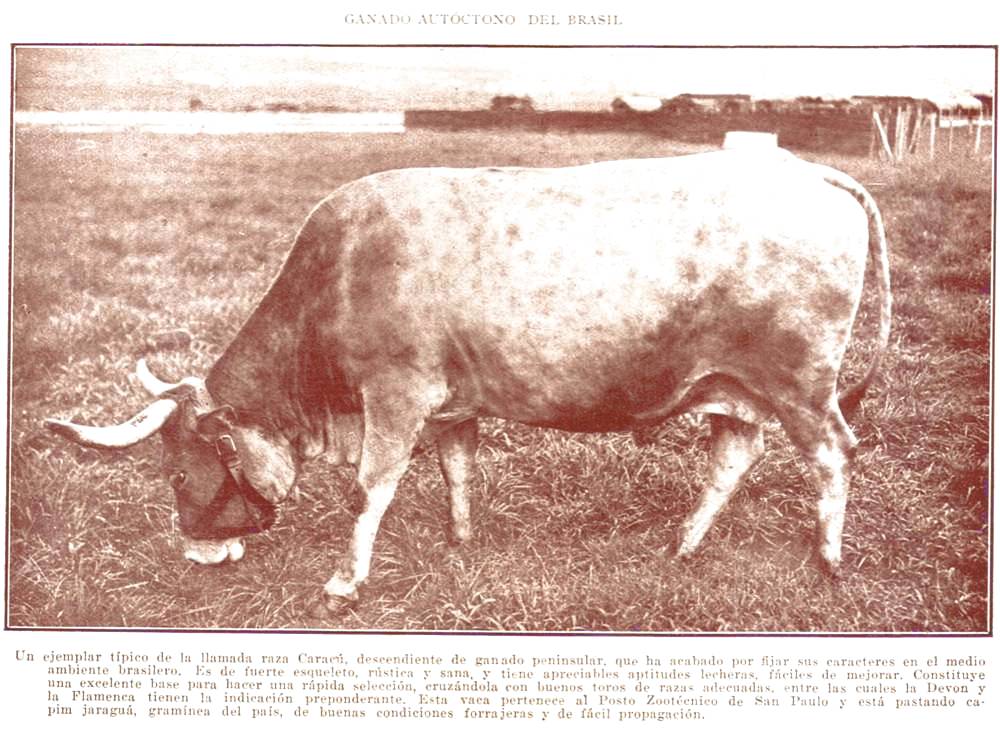 Clique aqui para reduzir a imagem