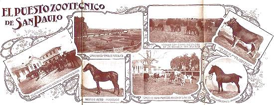 Clique na imagem para ampli�-la