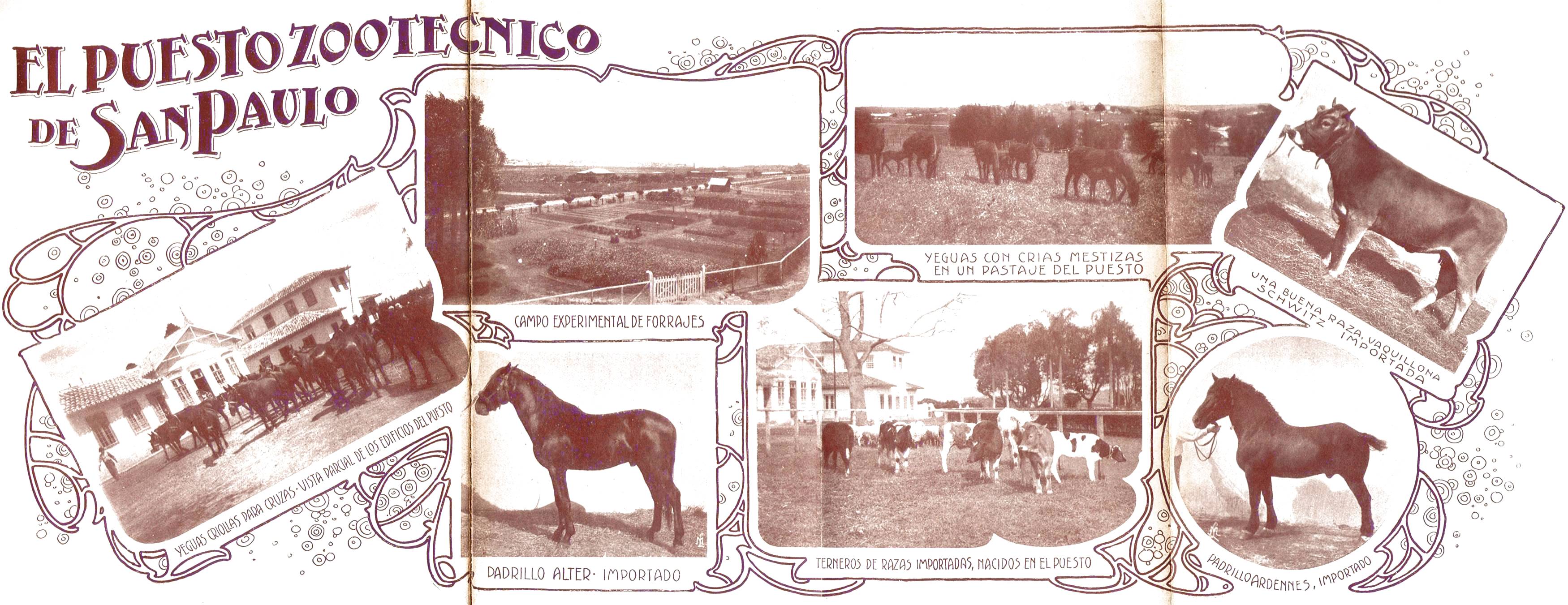 Clique aqui para reduzir a imagem