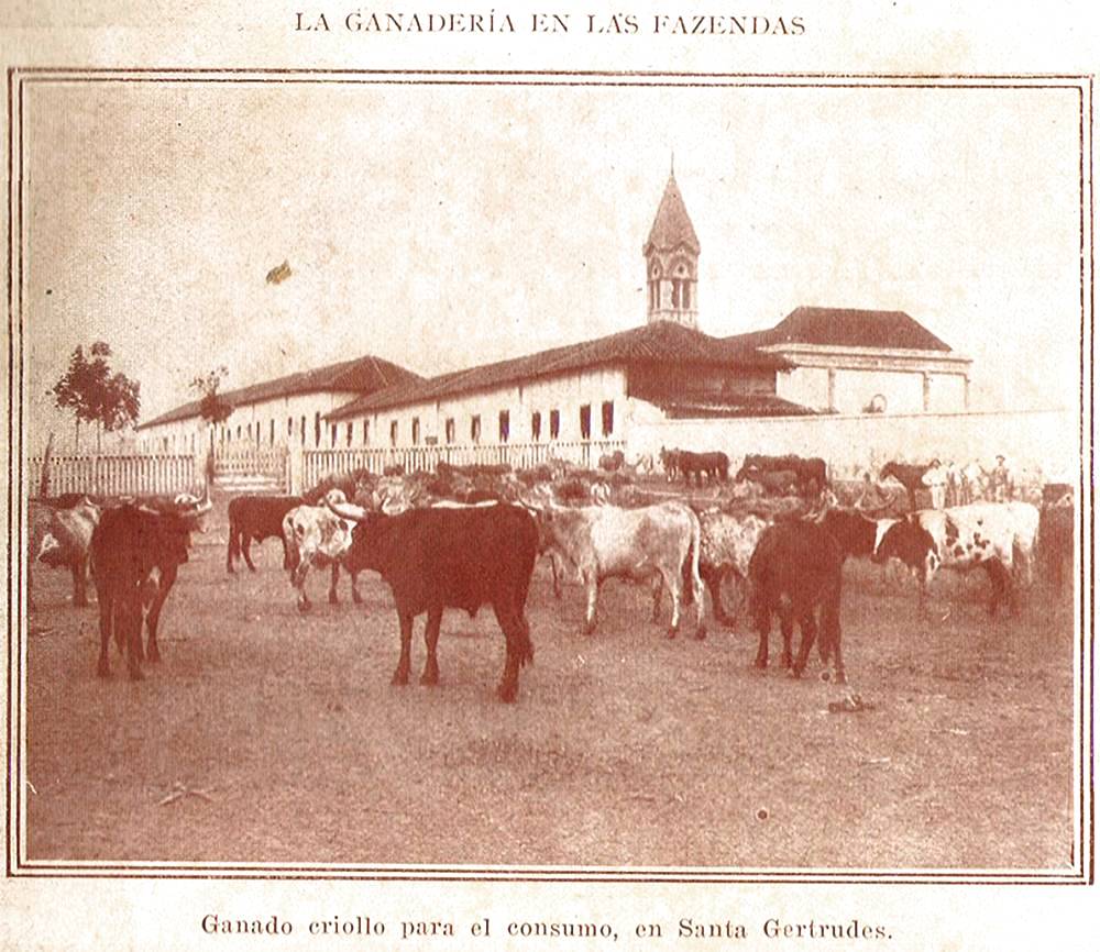 Clique aqui para reduzir a imagem