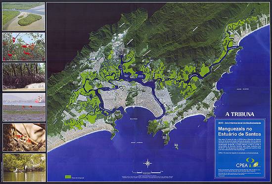 Clique na imagem para ampliá-la